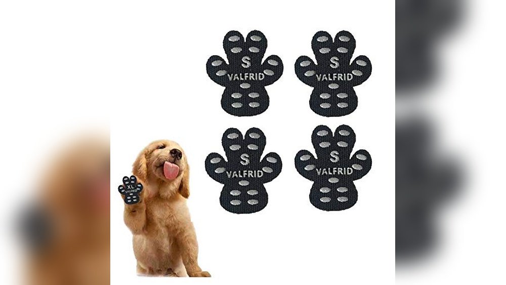 Best Paw Pad Protector for Hot Pavement