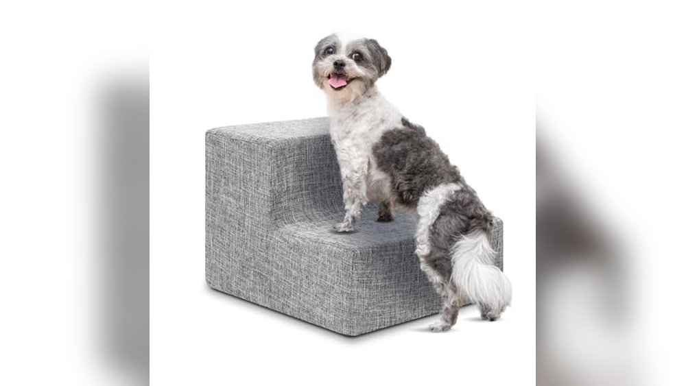 Best Pet Stairs for Beds And Couches 2026: Top Picks for Easy Climbing