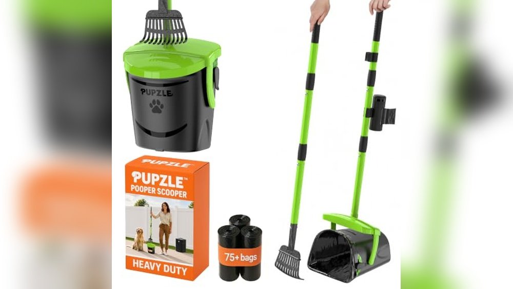 Best Pooper Scooper for Large Yards