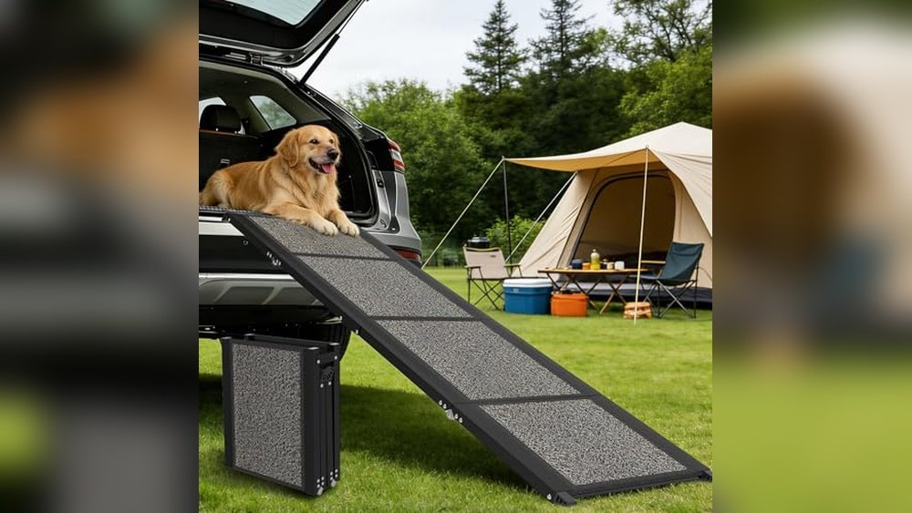 Best Portable Dog Ramp for Suv Trunk