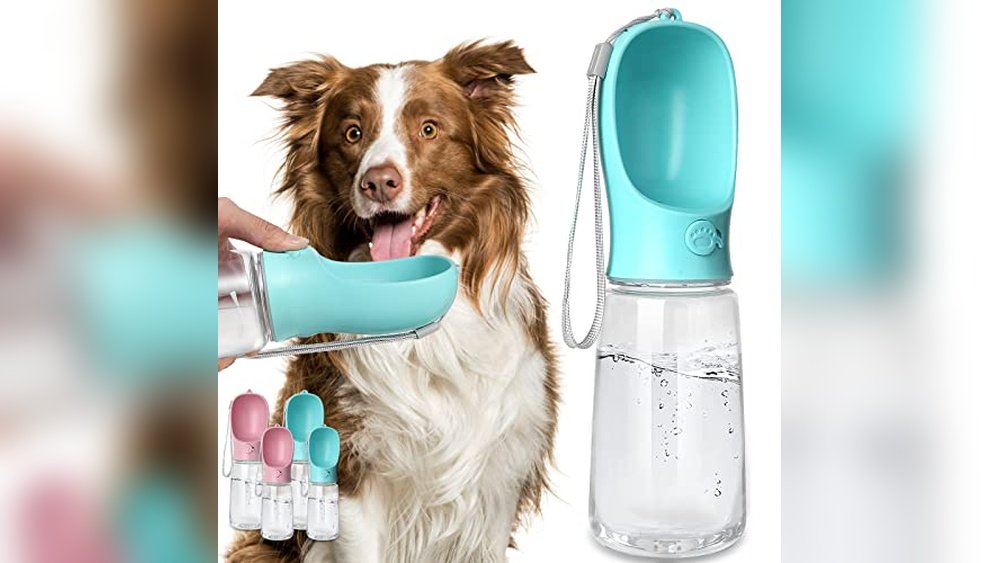 Best Portable Dog Water Bottle for Hiking
