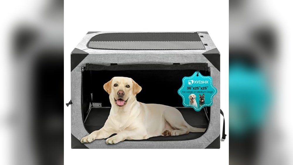 Best Portable Travel Crate for Dogs