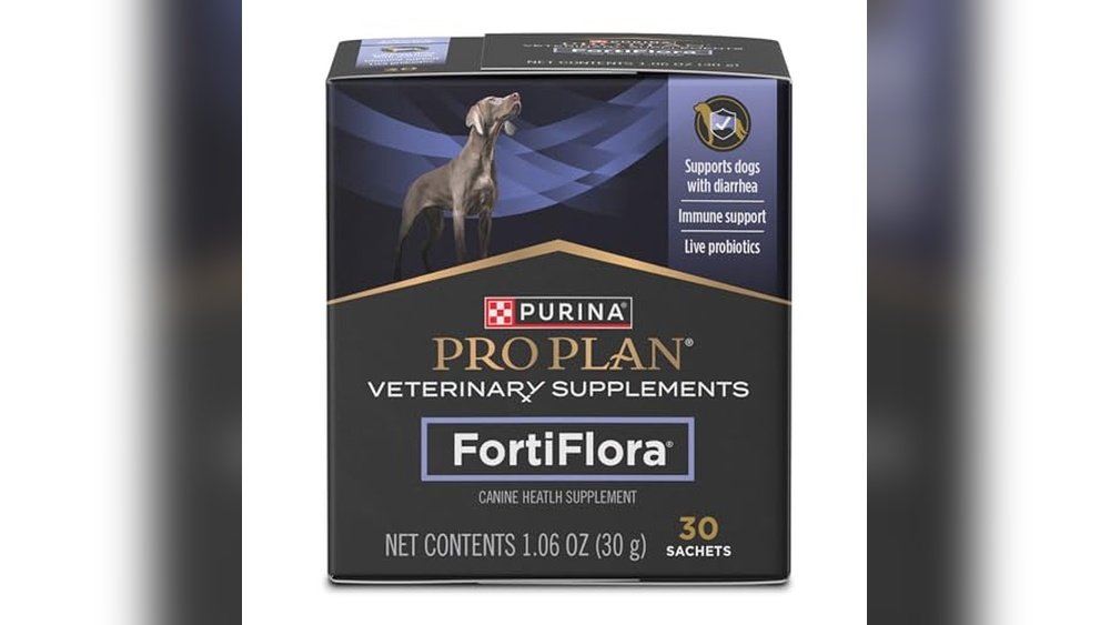 Best Probiotics for Dogs