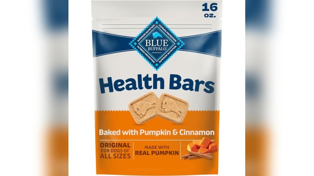 Best Pumpkin Dog Treats