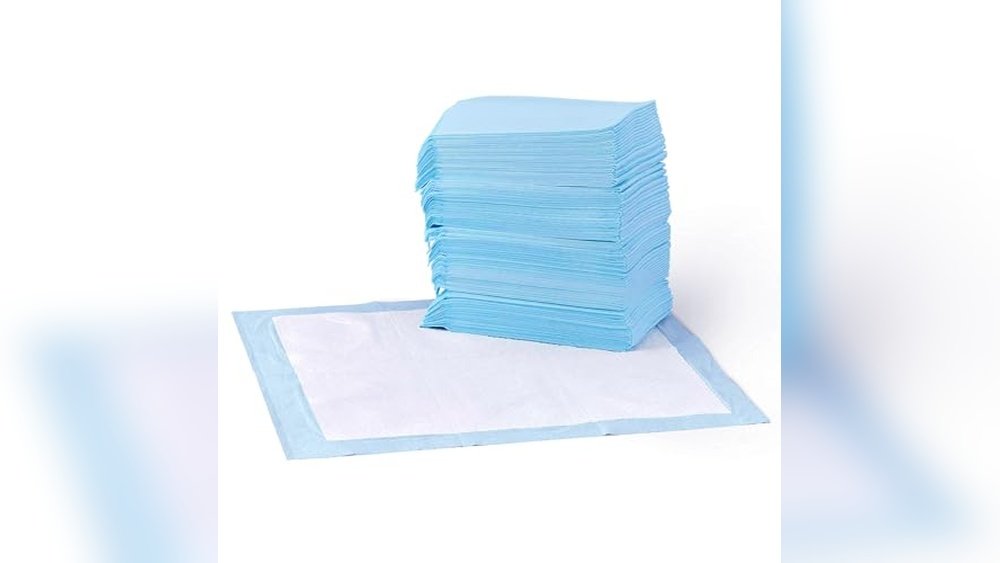 Best Puppy Pads for Potty Training