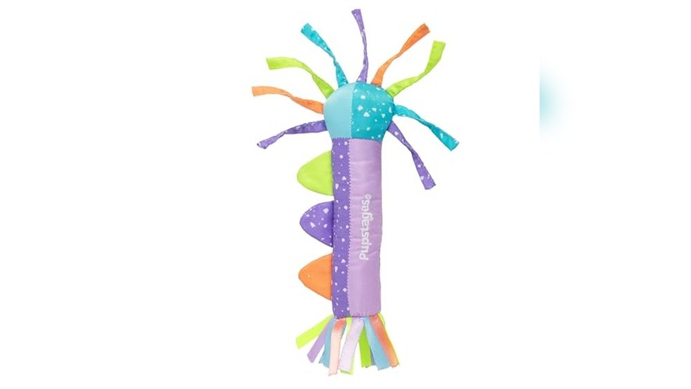 Best Puppy Teething Toys