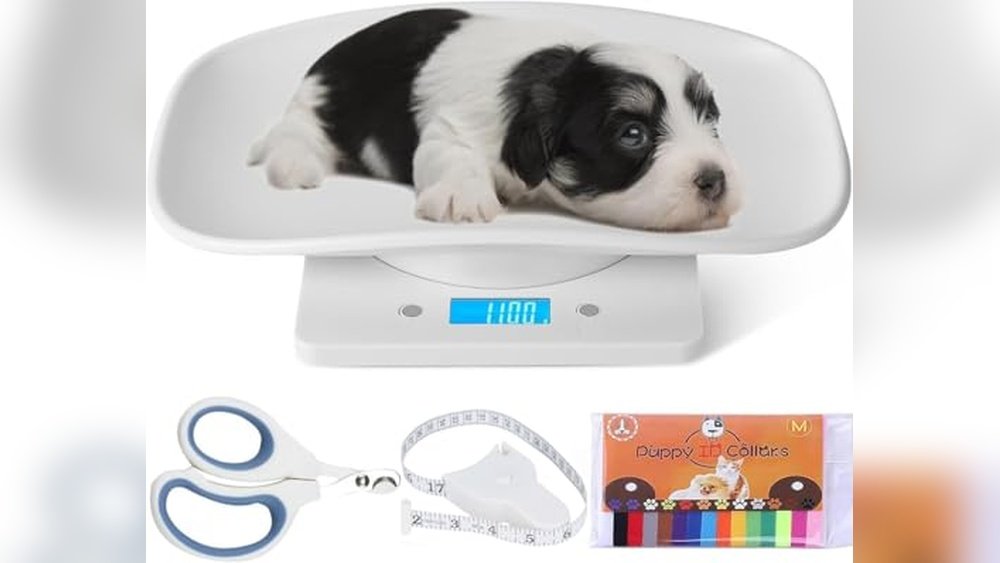 Best Puppy Weighing Scale