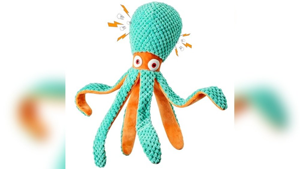 Best Quiet Dog Toys for Car Travel