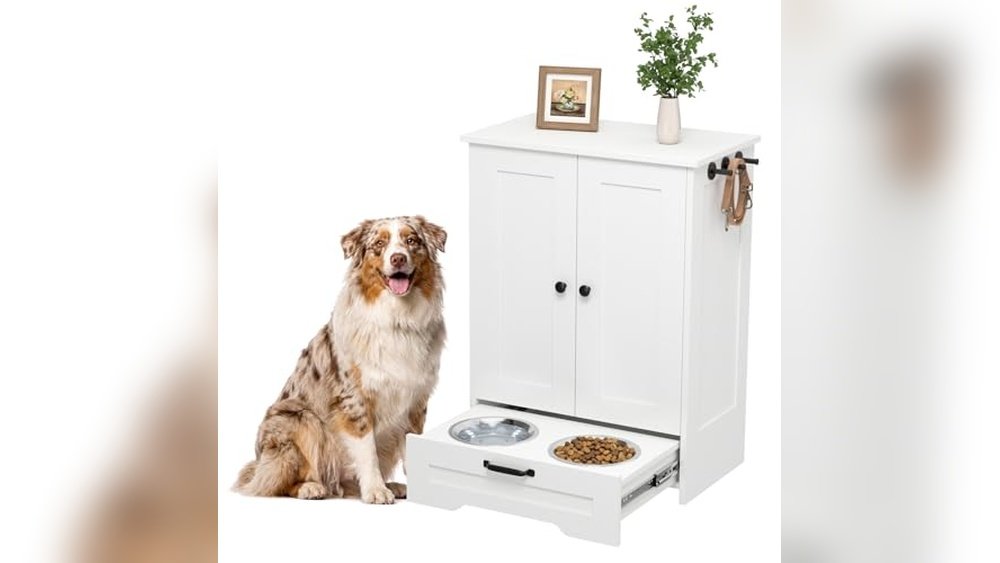 Best Raised Dog Feeding Station Furniture