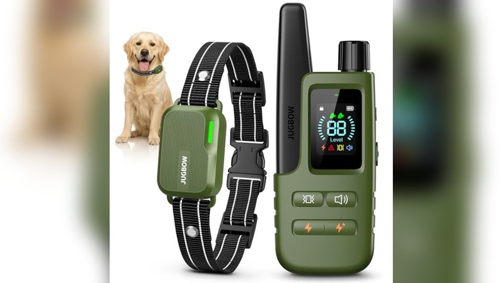 Best Remote Training Collar for Dogs