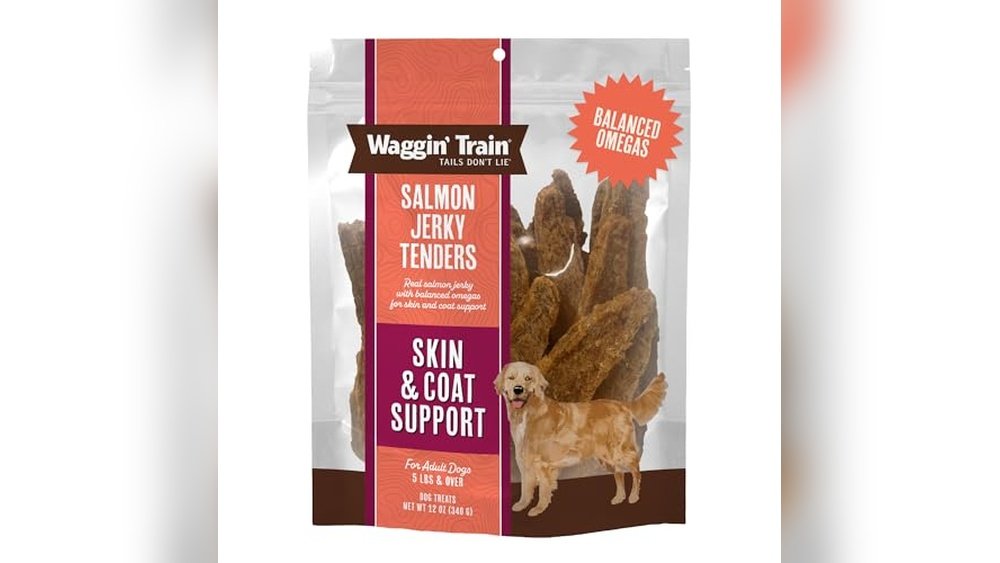 Best Salmon Dog Treats