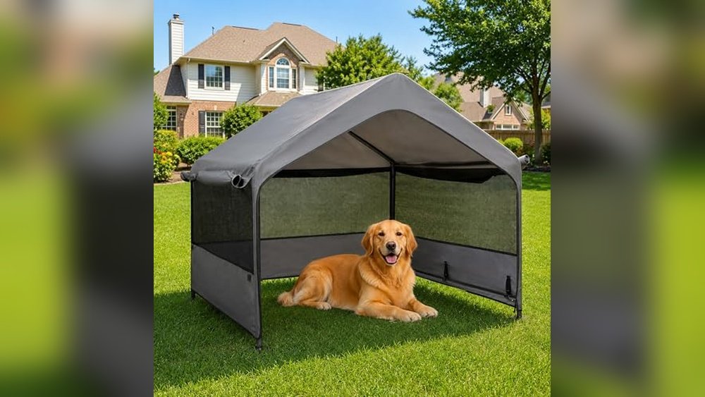 Best Shade Tent for Dogs Outdoors