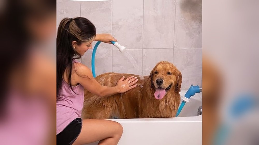 Best Shower Attachment for Dog Bathing