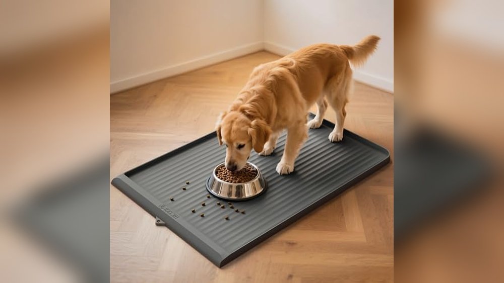 Best Silicone Dog Bowl Mat