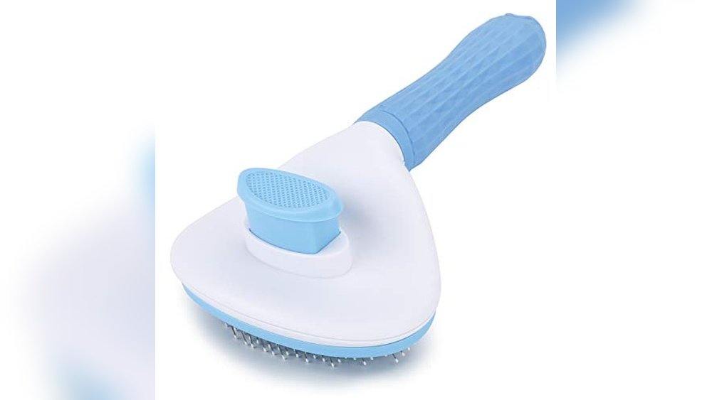 Best Slicker Brush for Dogs