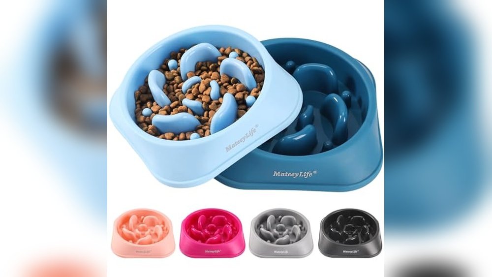 Best Slow Feeder Bowl for Puppies