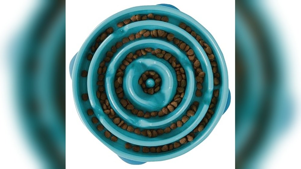 Best Slow Feeder Dog Bowls