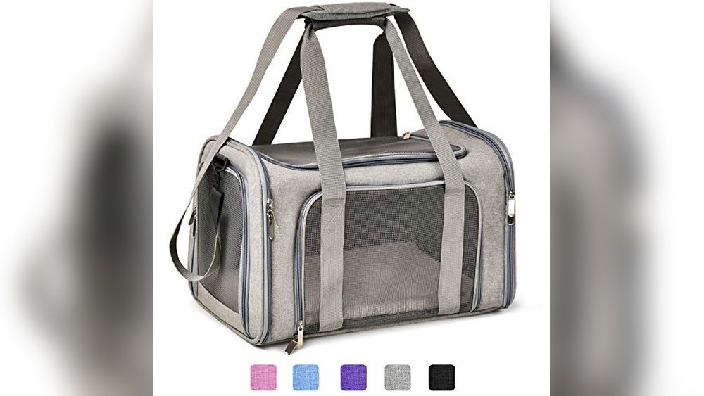 Best Soft Sided Dog Carrier for Small Dogs