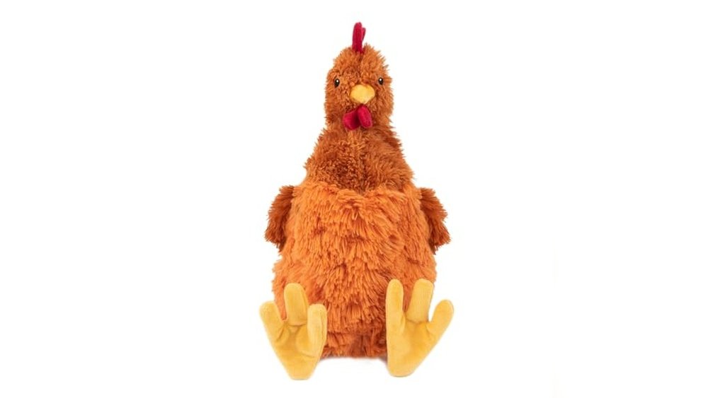 Best Squeaky Plush Dog Toys