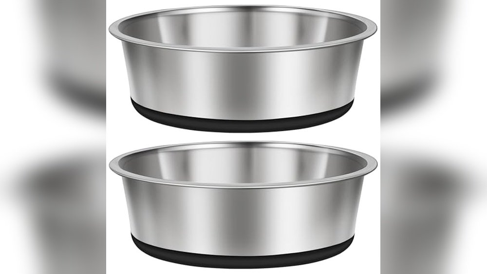 Best Stainless Steel Dog Bowl Set