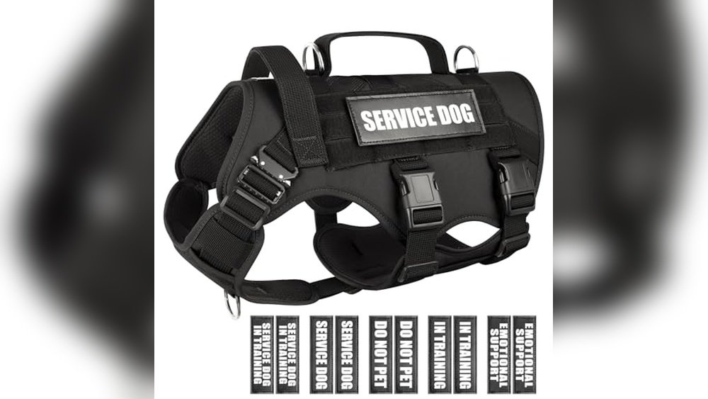 Best Tactical Dog Harness