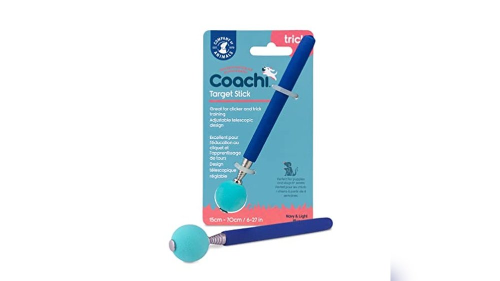 Best Target Stick for Dog Training