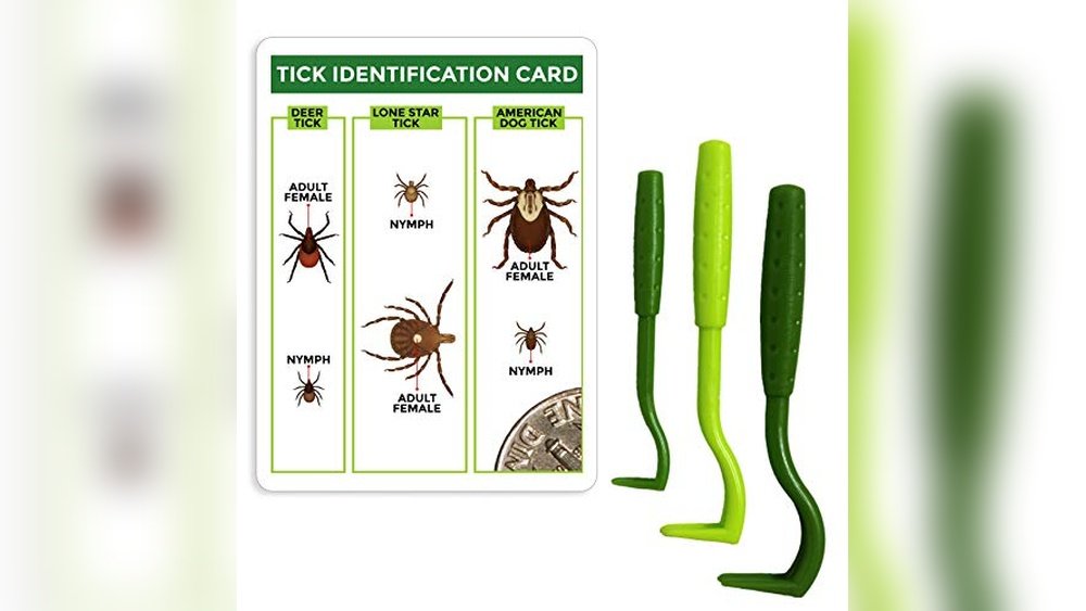 Best Tick Remover Tool for Dogs
