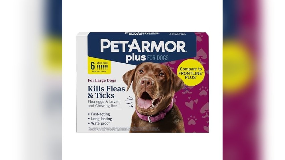 Best Topical Flea Treatment for Dogs