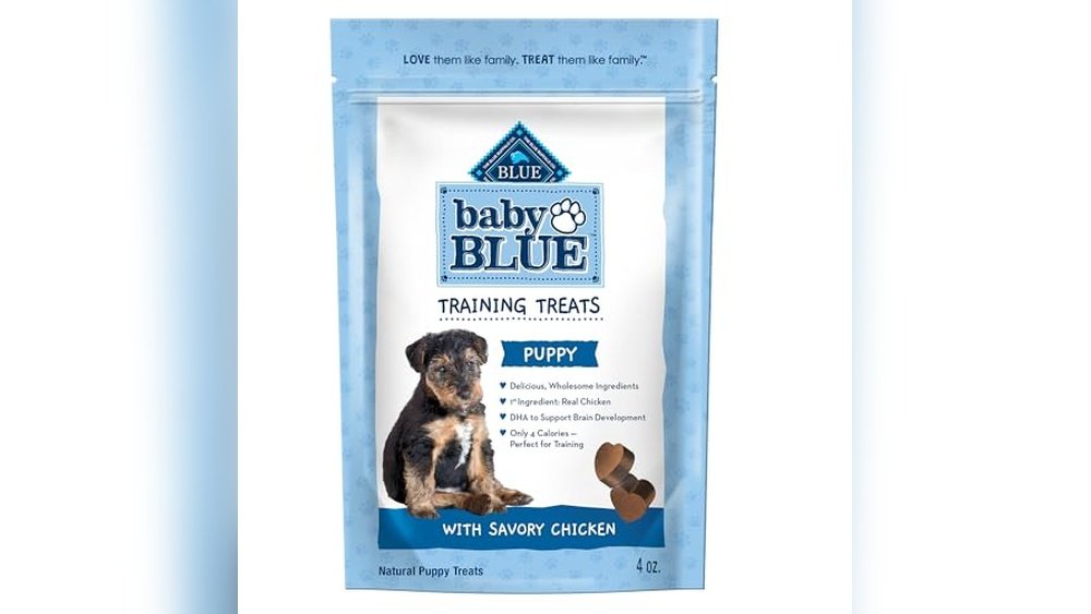 Best Training Treats for Picky Puppies