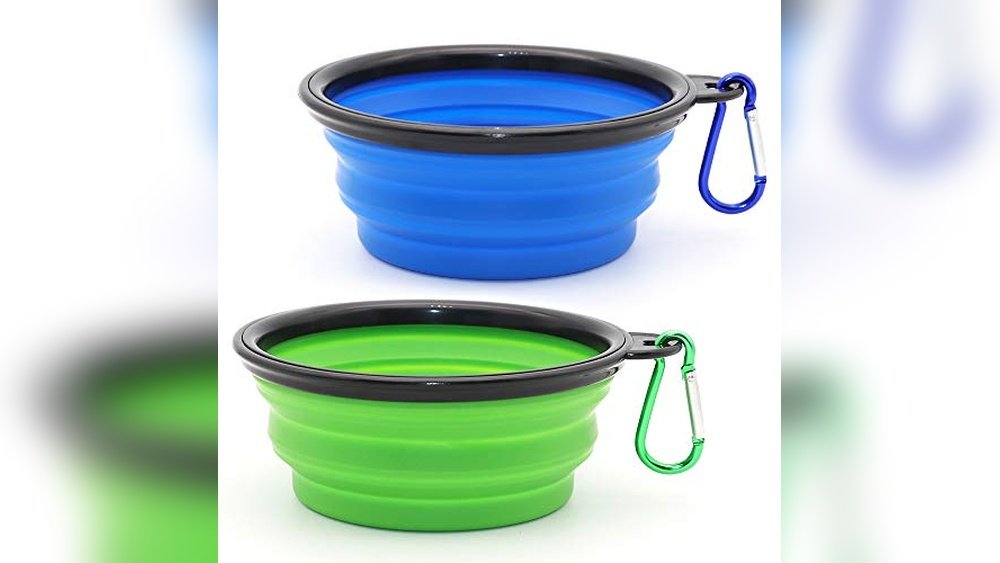 Best Travel Water Bowl for Dogs