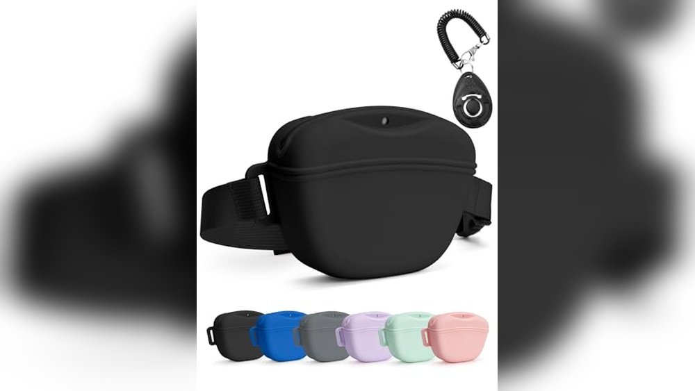 Best Treat Pouch for Dog Training