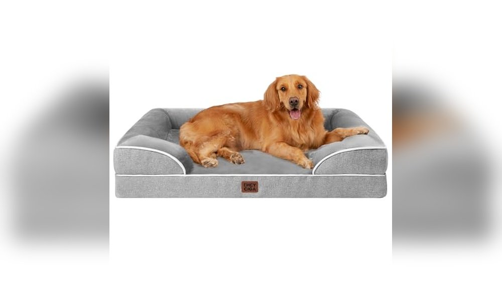 Best Waterproof Dog Bed
