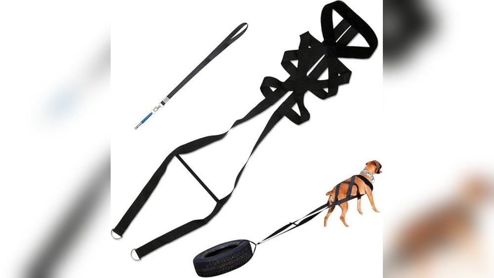 Best Weight Pull Harness for Dogs