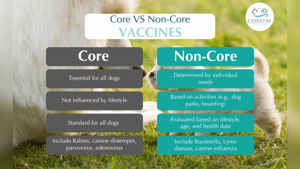 Core Vs Non-Core Vaccines for Dogs