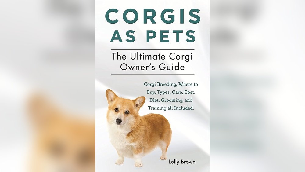 Corgi Complete Guide Temperament Size And Care