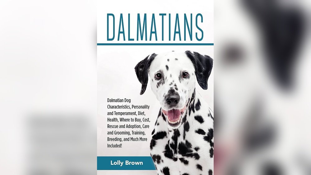 Dalmatian Complete Guide Temperament Size And Care