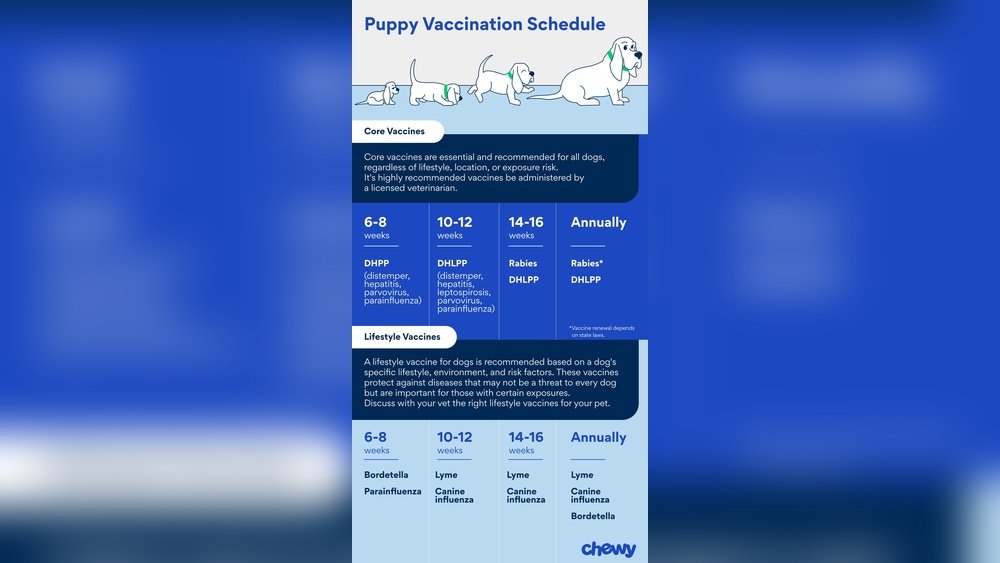 Dog Vaccination Schedule by Age