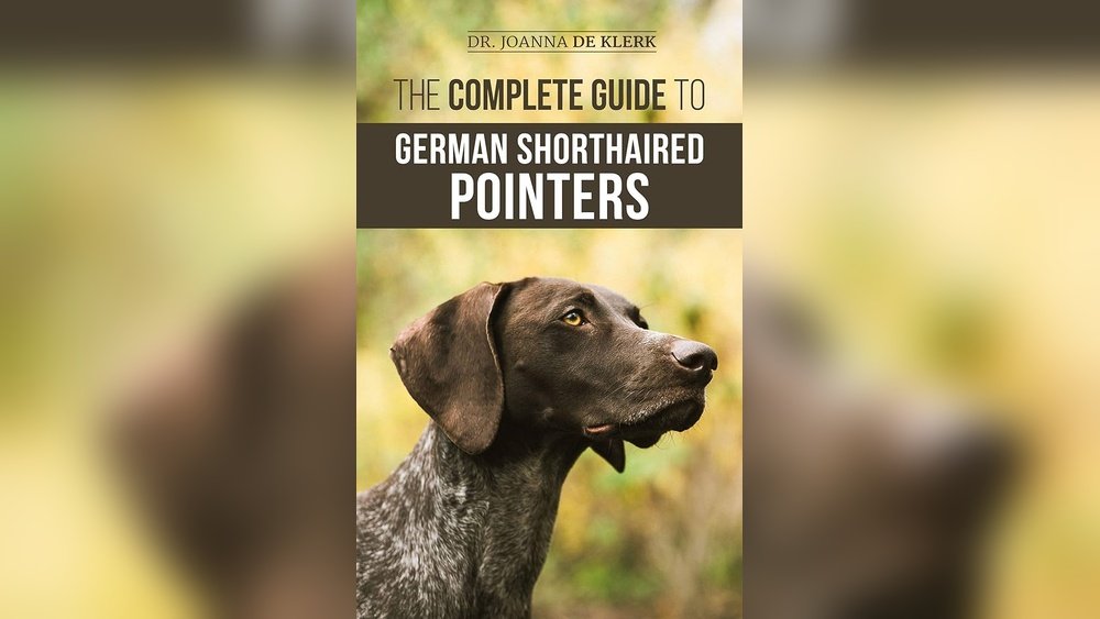 German Shorthaired Pointer Complete Guide Temperament Size And Care