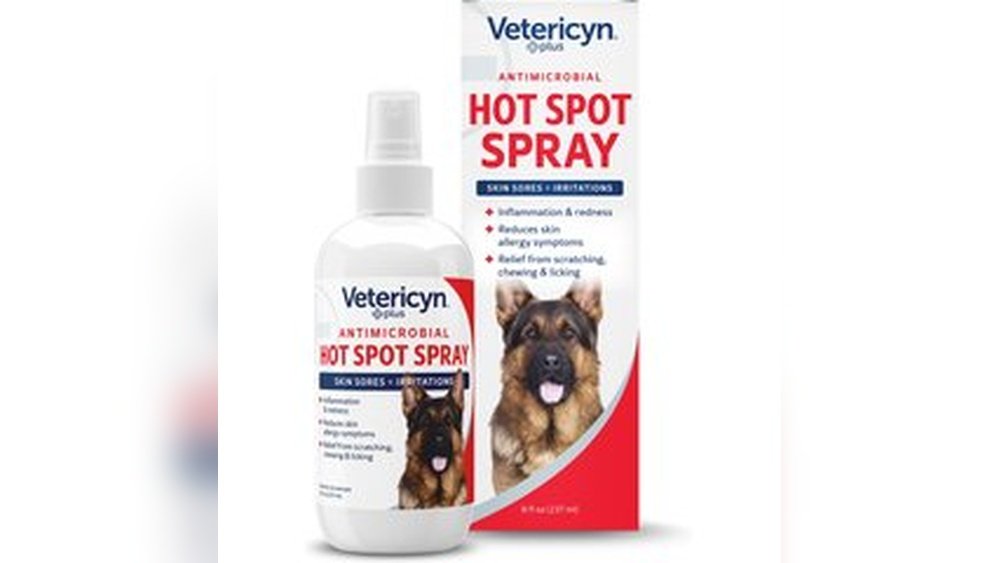 Hot Spots on Dogs Causes And Treatment