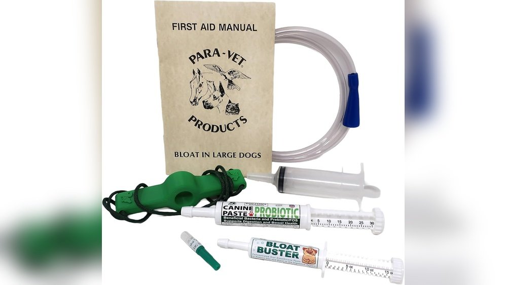 Signs of Bloat in Dogs Emergency Guide